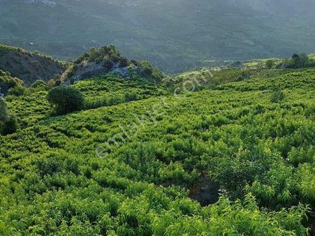 Mersin Mezitli Tepeköy'de Satılık Bahçe Arazi