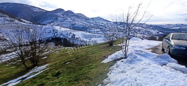Düzce Yığılca Doğanlar Köyü 2246m² Yol Kenarı Satılık Tarla