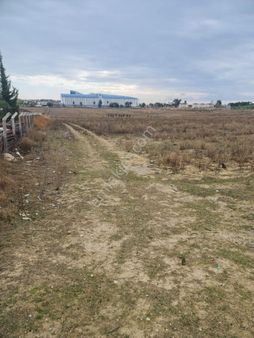 Çavuşköy Mevkiinde