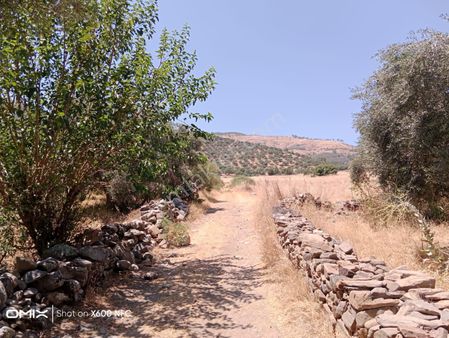 Aydın Kuyucak Başaran Köyünde Satılık Tarla