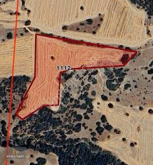 Kyra Yapı Dan Araç Takaslı 14200 M2 Müstakil Tek Tapu Arsa