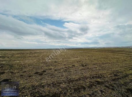 Bu Fiyata Bu Tarla Kaçmaz/sizde Geleceğe Yatırımınızı Yapın