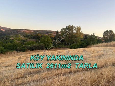 Bursa Yenişehir Çiçeközü Mh.de Acil Satılık Köydibi 2611m2 Tarla