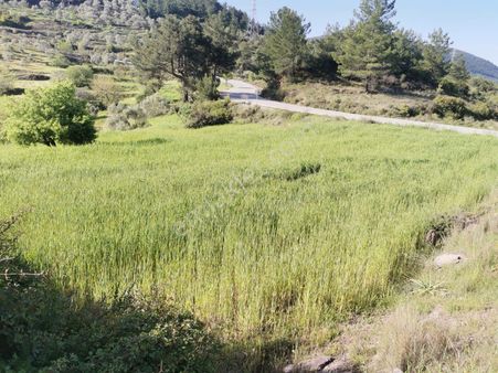 Hem Yatırım Hem Huzur: Milas Çiftlikte Satılık 11.561 M2 Tarla