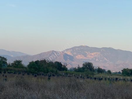 Ortaca Güzelyurt Da 26.200 M2 Müstakil Tarla Ve 3.000 M2 Satılık