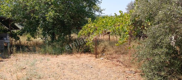 Satılık Hisseli Tarla