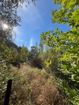 Muğla Menteşe Yeşilyurt Mah. 172 M2 Satılık Tarla