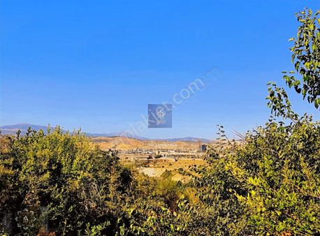 Arsenden Honazda Anayol Üzerinde 6200m2 Fırsat Satılık Tarla