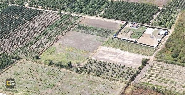 Bursa Gürsu Kazıklı Fırsat Hobi Bahçeleri