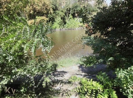 Kv Gayrimenkul'den Doğançay Sakarya Nehri Kenarı Satılık Arazi