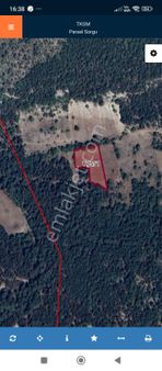 Kütahya Tavşanlı Karcık Kurt Bükü Tarla