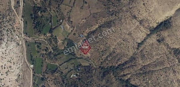 Karaağaç Mahallesinde 2390 M2 Satılık Tarla