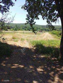 Bursa Gemlik Haydariye Köyünde Satılık Net 150 M2 Arsa