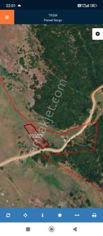 Bursa Gemlik Şahinyurdu Satılık Tarla