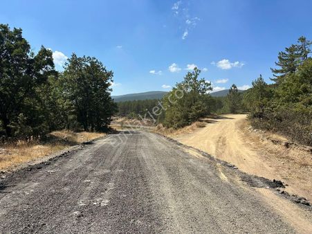 Turyapdan Pamukova Kemaliyede Yol Kenarı 2769m² Satılık Tarla