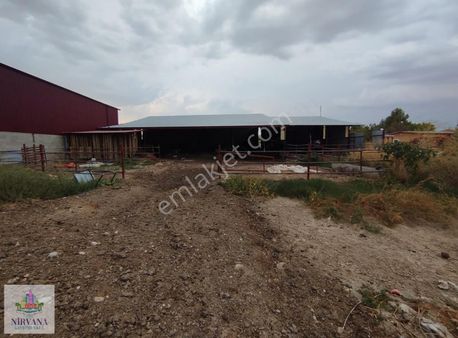 Baklan Hadim Köyünde Kurulu Düzen Çiftlik