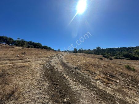 İçdedeler Köyünde İmar Alanına Yakın Mesafede 2.230 M2 Tarla