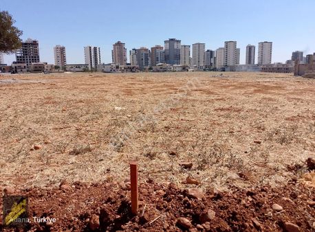 Saricam Carkipare Tek Tapu Villa İmarlı Arsa