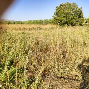 Baron Emlaktan Satılık Tarla