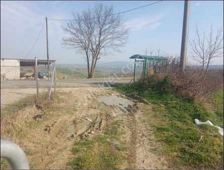 Kaynarca Eğrioğlu Nda Doğa İçinde Yatırımlık Arsa!