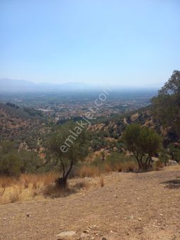 Acill Bayındır Yenice Köyünde 3936m2 Tek Tapulu Komple Satılık Tarla(bahçe)