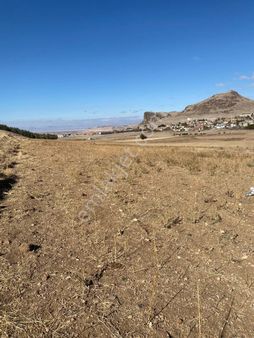 Yukarı Develide Ahır Yapımına Uygun 5750m2 Satılık Tarla