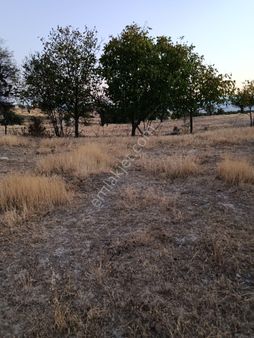 Acıpayam Yeşilyuva Konut İmarlı Satılık Arsa