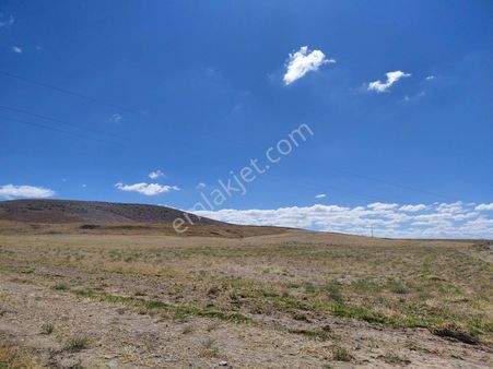 Bizim Emlak'tan Mevlütlüde 6.349 M² Tarla