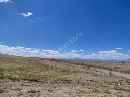 Bizim Emlaktan Mevlütlüde 44.316 M² Tarla