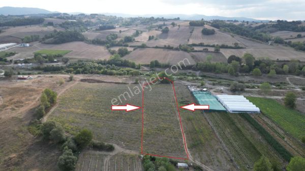 Kocaeli Karamürsel Semetler 6001 M² Yatırımlık Satılık Tarla