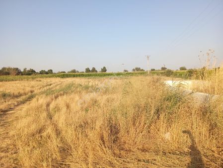 📍sarıbey Temrek Satılık Tarla