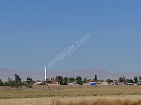 Bizim Emlak'tan Söğütlü 44.445 M² Mükemmel Konumda Tarla