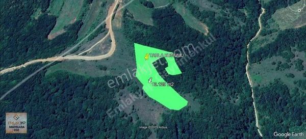 Kırklareli Geçitağzı Köyü'nde Tamamı Orman Cepheli Satılık Tarla