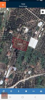 Hçk Gayrimenkul'den Erdek Yukarı Yapıcıda Zeytinlik