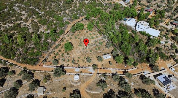 Bodrum Kızılağaç Müstakil Kadastro Yola 88 Metre Cepheli Tarla