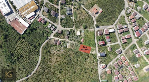 Yenipazar Mevkiinde Satılık Deniz Manzaralı Arsalar!!!