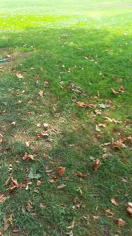 Kaynarca Uğurluda 2,650m Satılık Düşeş Kazandıracak Arsa No:380