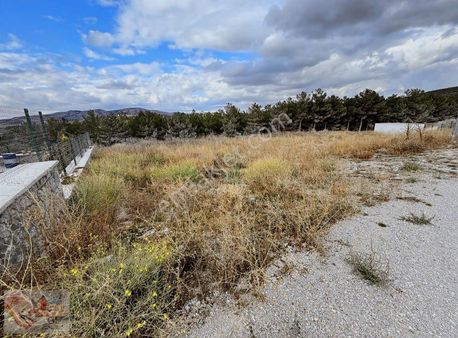 Kahve Orman Cafe Arkasında 1 Dönüm Arsa