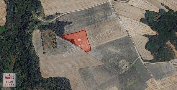 Molla Team' Den Edirne Uzunköprü' De Satılık 4700m2 Tarla