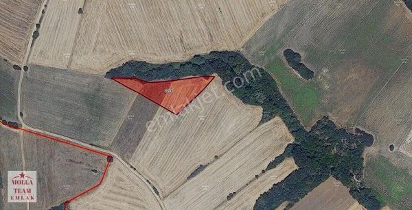 Molla Team' Den Edirne Uzunköprü' De Satılık 5000m2 Tarla