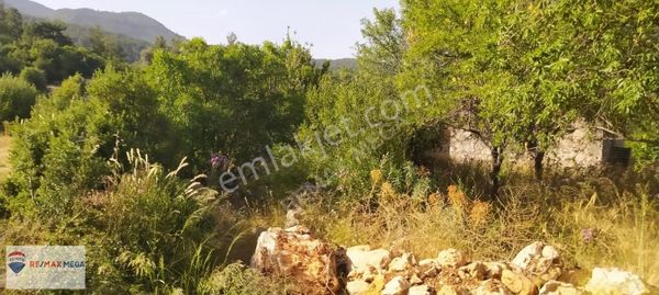 Burdur Bucak Kayı Mahallesi Köy İçi Satılık İfrazlı Tarla