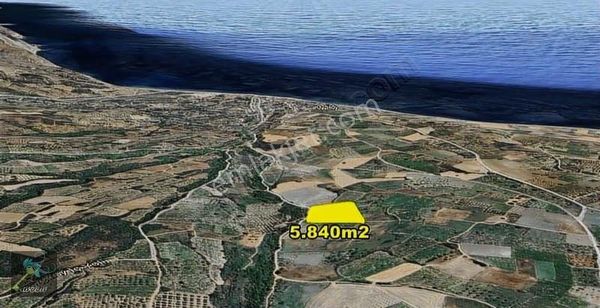 Şarköy Gaziköy'de 5.840 M2 Deniz Manzaralı Tek Tapu Tarla