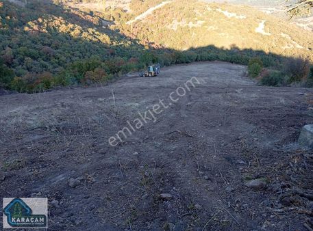 Balıkesir Altıeylül Bağalan Köyünde 7 Dönüm Satılık Tarla