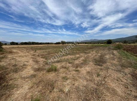 Bodrum Sazköy'de Satılık Tarla