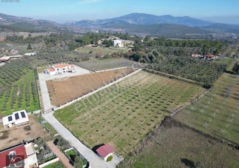 Kuşadası'na 10 Km Mesafede-yenıkoyde-resmı Kayıtlı Elektırık Suyu Olan 8300 M2 Tarla