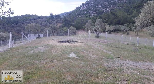 Central35 Doğancılar 488m2 Hısselı Mufavakatlı Etraf Tel Cevrılı