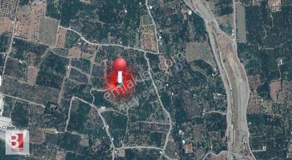 Kemalpaşa Yiğitlerde 1592 M2 Satılık Bağ