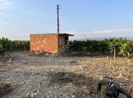 Buğra Emlak & Gayrimenkulden Satılık Bag