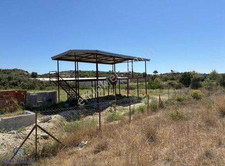 Karaöz Mahallesinde Tek Tapu Tarla