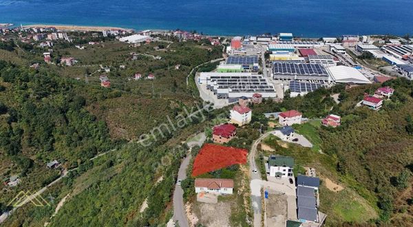 Trabzon Arsin Deniz Manzaralı Ferah Villa Yapımına Uygun Arsa